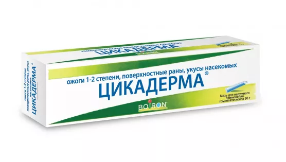Почему людей укачивает в транспорте?